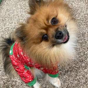 Meet your Posher, Tiffany